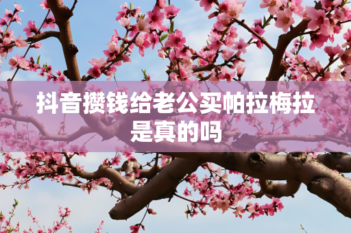抖音攒钱给老公买帕拉梅拉是真的吗