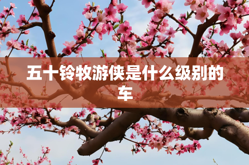 五十铃牧游侠是什么级别的车