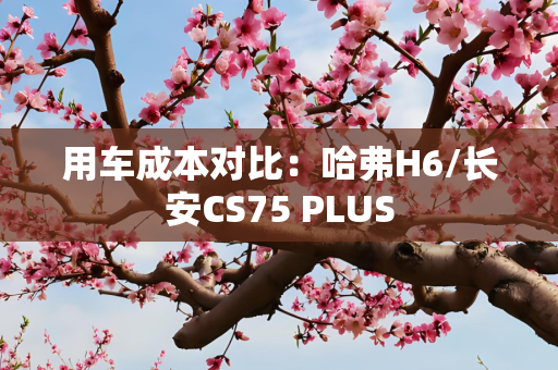 用车成本对比：哈弗H6/长安CS75 PLUS