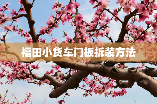 福田小货车门板拆装方法