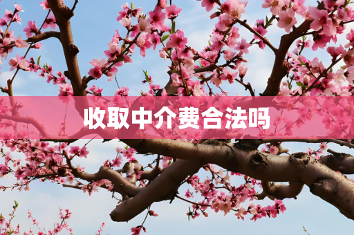 收取中介费合法吗