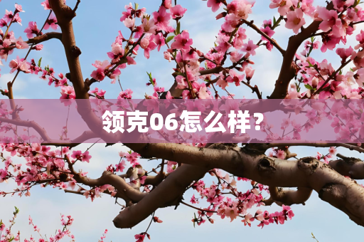 领克06怎么样？