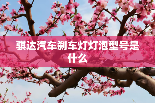 骐达汽车刹车灯灯泡型号是什么
