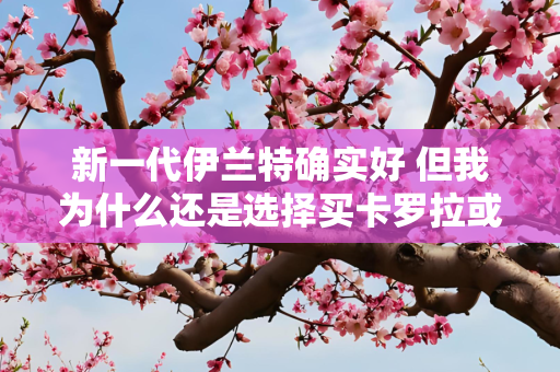 新一代伊兰特确实好 但我为什么还是选择买卡罗拉或思域?