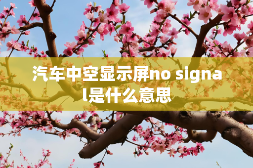 汽车中空显示屏no signal是什么意思