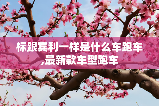 标跟宾利一样是什么车跑车,最新款车型跑车