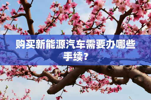 购买新能源汽车需要办哪些手续？