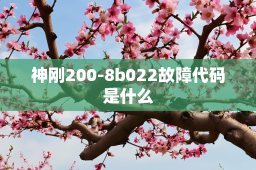 神刚200-8b022故障代码是什么