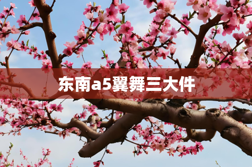 东南a5翼舞三大件