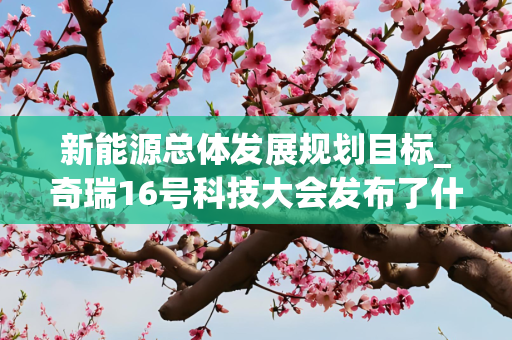 新能源总体发展规划目标_奇瑞16号科技大会发布了什么