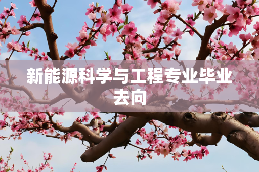 新能源科学与工程专业毕业去向