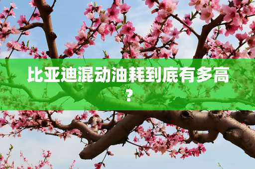 比亚迪混动油耗到底有多高？