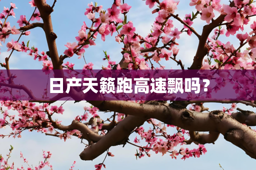 日产天籁跑高速飘吗？