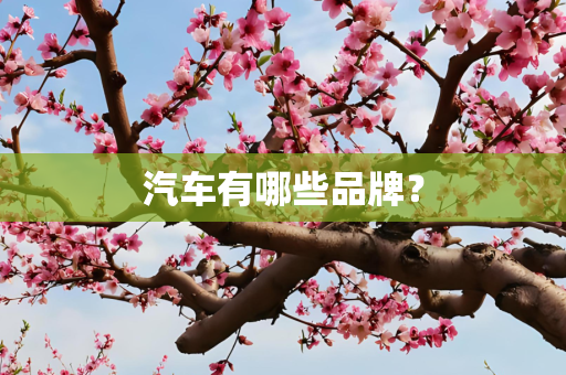 汽车有哪些品牌？