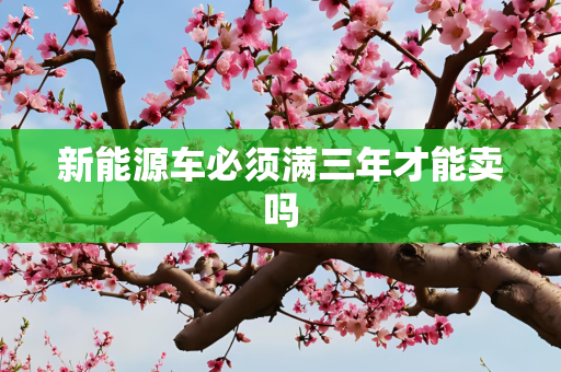 新能源车必须满三年才能卖吗