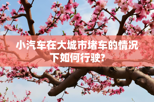 生活 第263页
