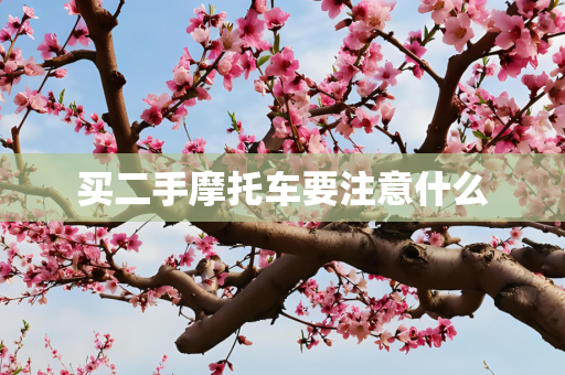 买二手摩托车要注意什么