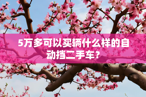 5万多可以买辆什么样的自动挡二手车？