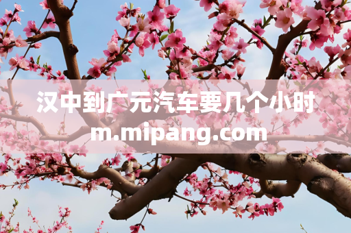 汉中到广元汽车要几个小时 m.mipang.com