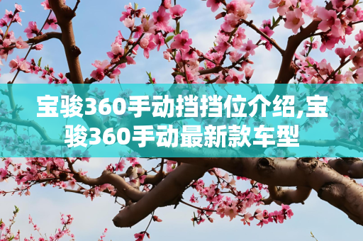 宝骏360手动挡挡位介绍,宝骏360手动最新款车型