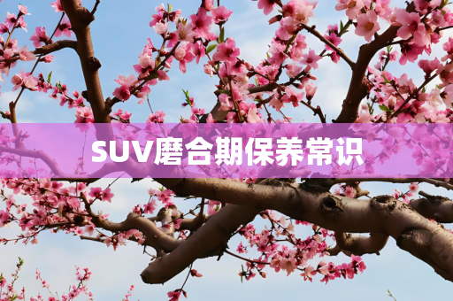 SUV磨合期保养常识