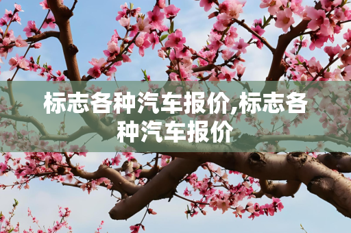 标志各种汽车报价,标志各种汽车报价