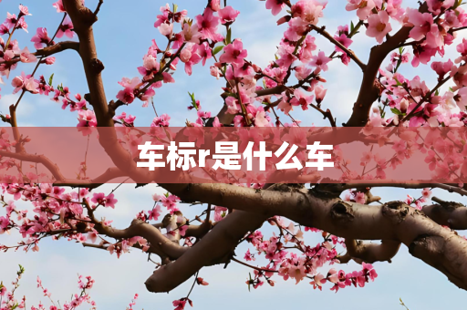 车标r是什么车