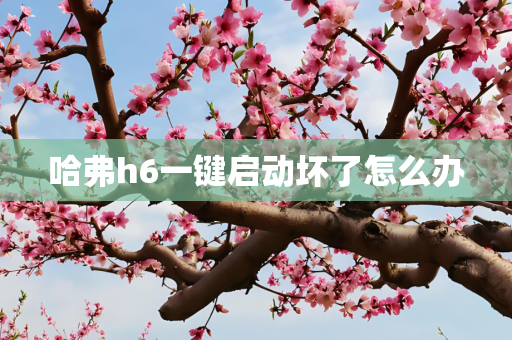 哈弗h6一键启动坏了怎么办