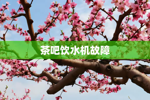 茶吧饮水机故障