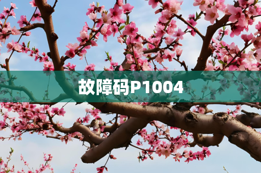 故障码P1004