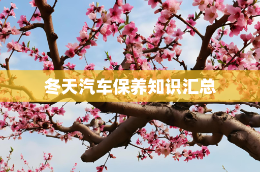 冬天汽车保养知识汇总