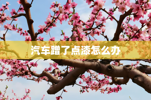 汽车蹭了点漆怎么办