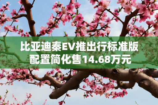 比亚迪秦EV推出行标准版 配置简化售14.68万元