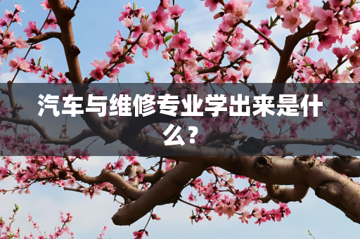 汽车与维修专业学出来是什么？
