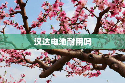 第568页