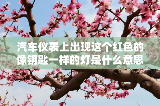 汽车仪表上出现这个红色的像钥匙一样的灯是什么意思？