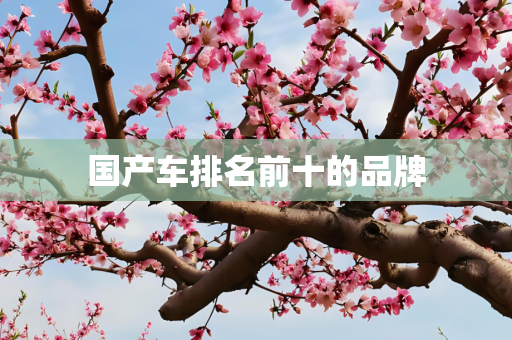 国产车排名前十的品牌