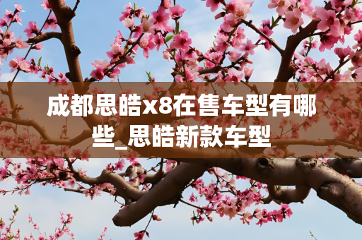 成都思皓x8在售车型有哪些_思皓新款车型