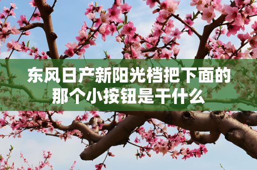 东风日产新阳光档把下面的那个小按钮是干什么