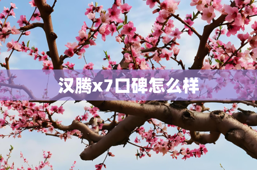 汉腾x7口碑怎么样
