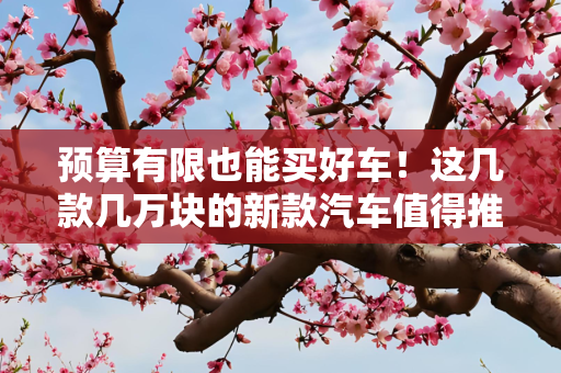 预算有限也能买好车！这几款几万块的新款汽车值得推荐