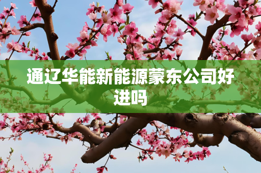 通辽华能新能源蒙东公司好进吗