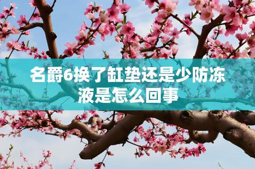 名爵6换了缸垫还是少防冻液是怎么回事
