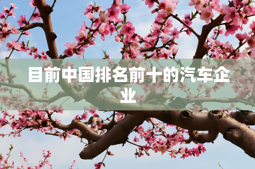 目前中国排名前十的汽车企业
