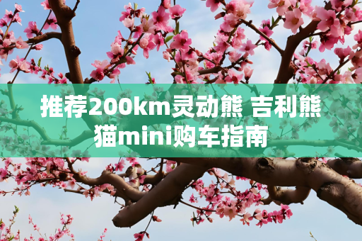 推荐200km灵动熊 吉利熊猫mini购车指南