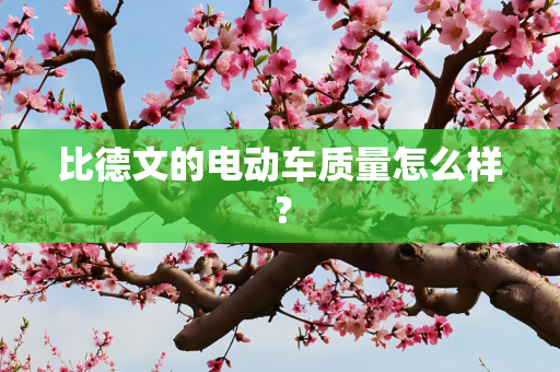 比德文的电动车质量怎么样？