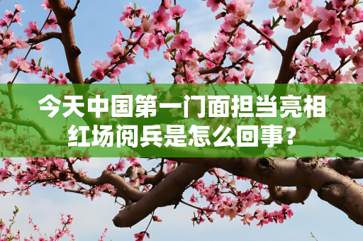 第567页