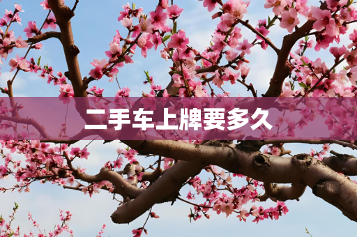 二手车上牌要多久