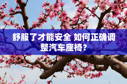 舒服了才能安全 如何正确调整汽车座椅？