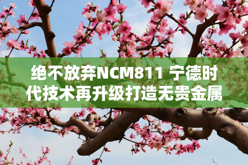 绝不放弃NCM811 宁德时代技术再升级打造无贵金属电池
